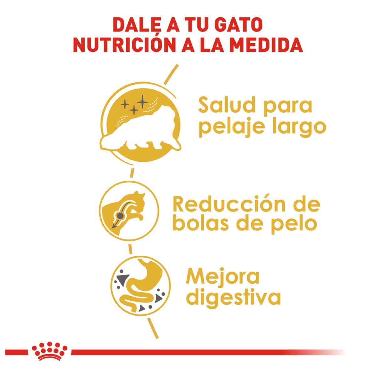 Gatos Persian Royal Canin 3.17 kg Profesional