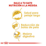 Gatos Persian Royal Canin 3.17 kg Profesional