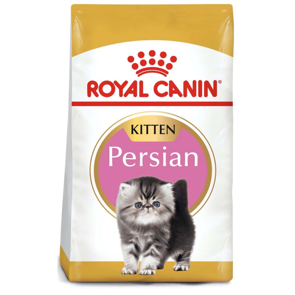 Persian Kitten 1.3kg