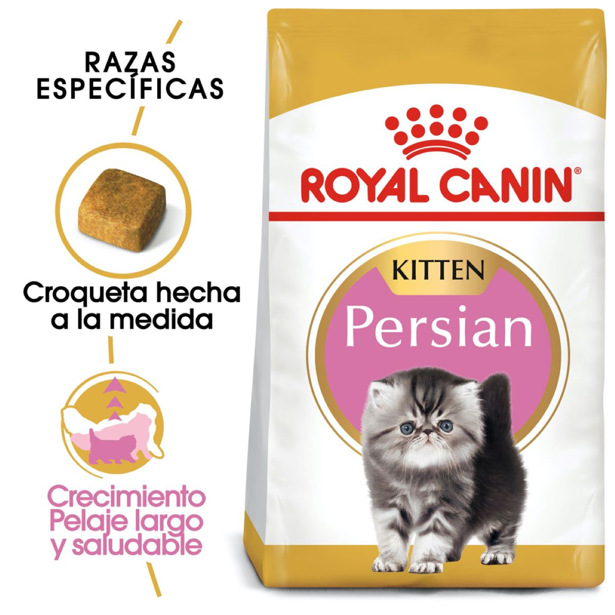 Persian Kitten 1.3kg Profesional