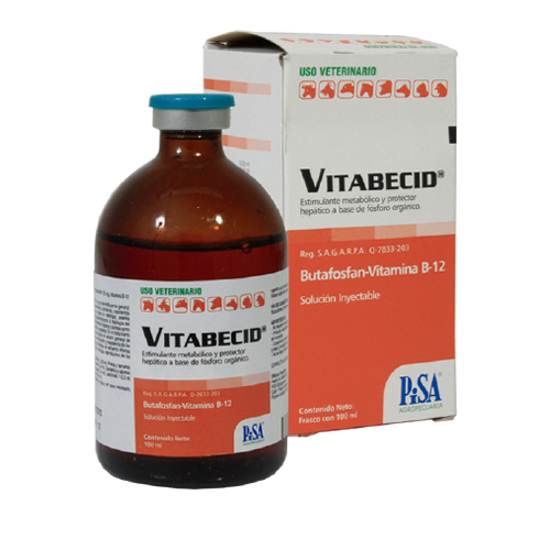 VITABECID SOLUCIÓN INYECTABLE 100 ML