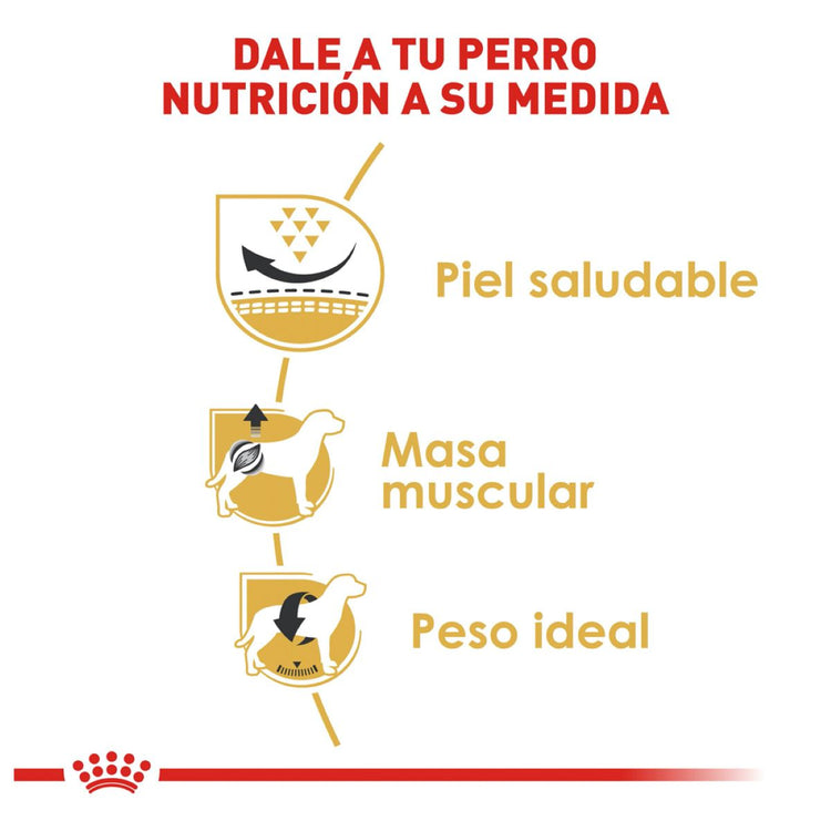 PUG Royal Canin Profesional