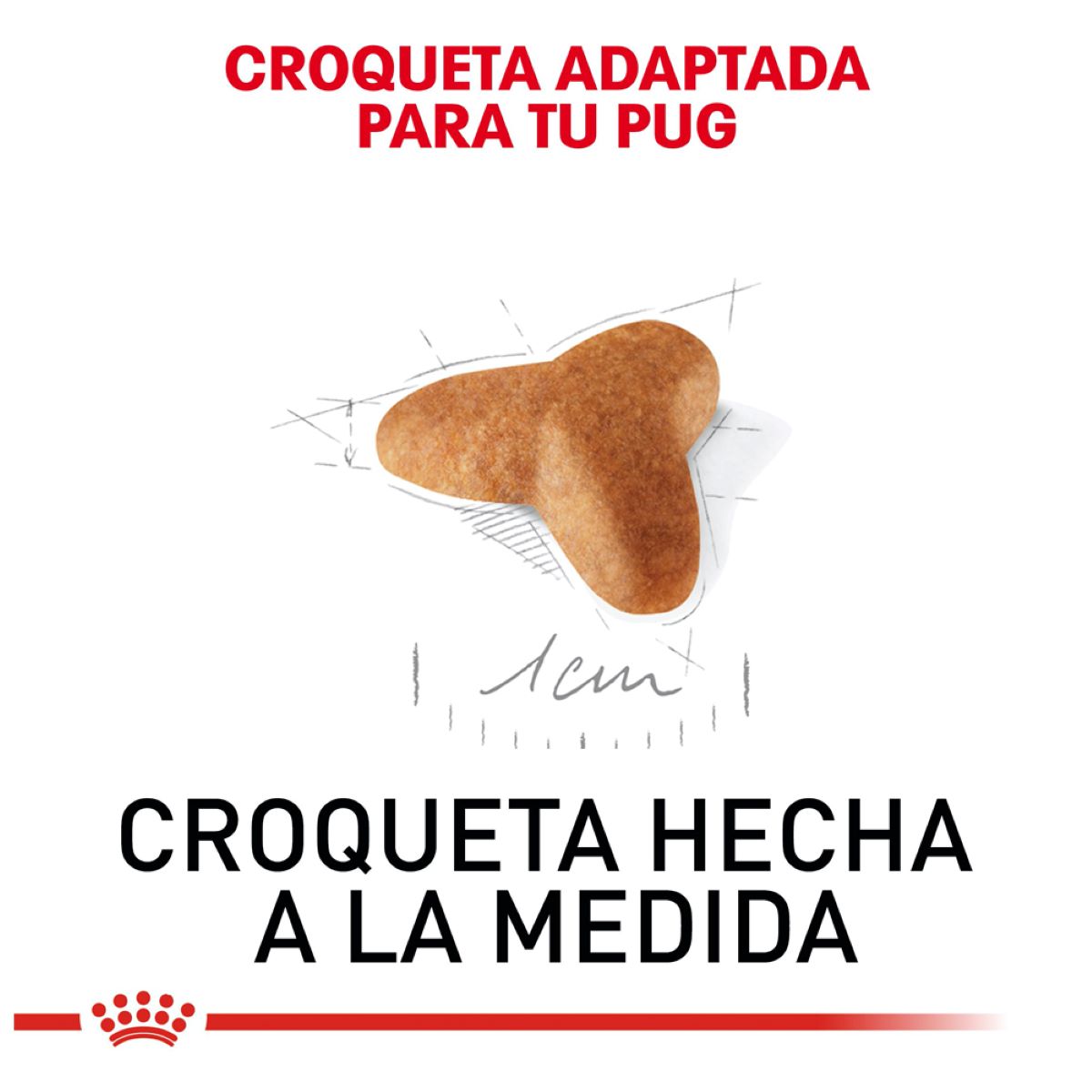 Pug Puppy 1.1 Kg Profesional