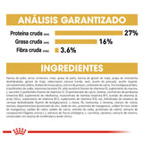 Pug Puppy 1.1 Kg Profesional