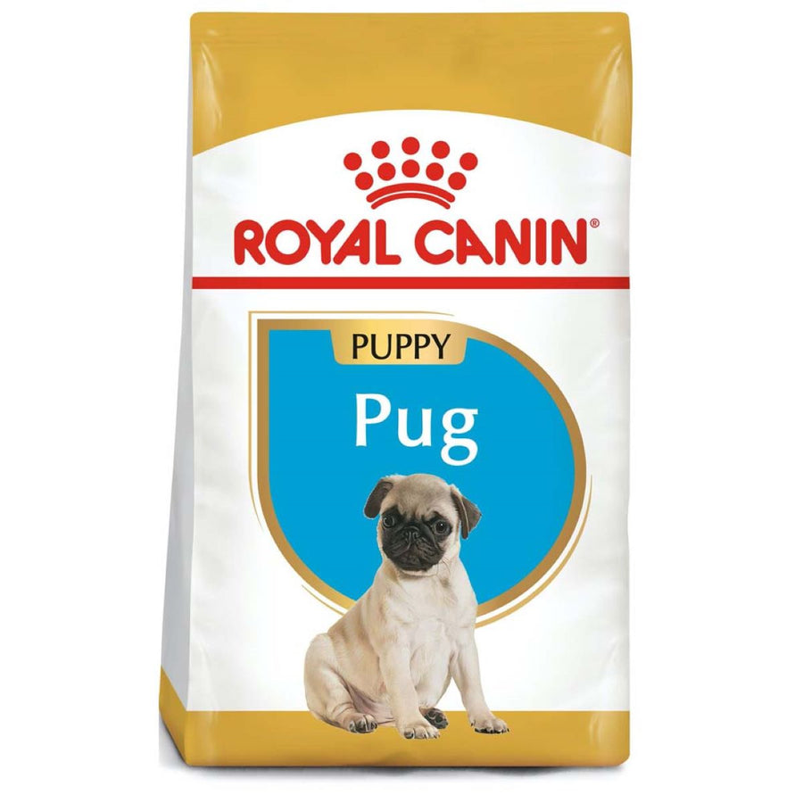 Pug Puppy 1.1 Kg Profesional