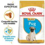 Pug Puppy 1.1 Kg Profesional