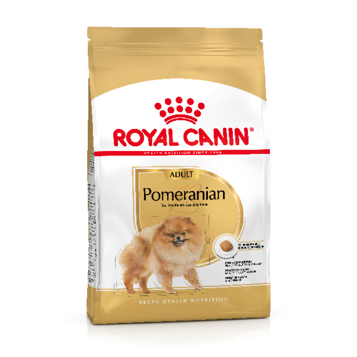 POMERIAN ADULT