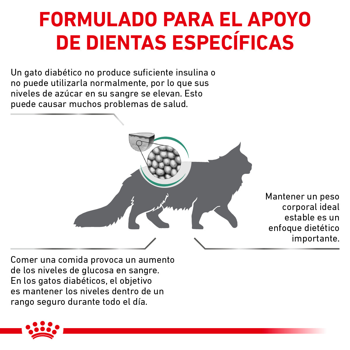 Glycobalance (diabetic) Feline Royal Canin 2 Kg.