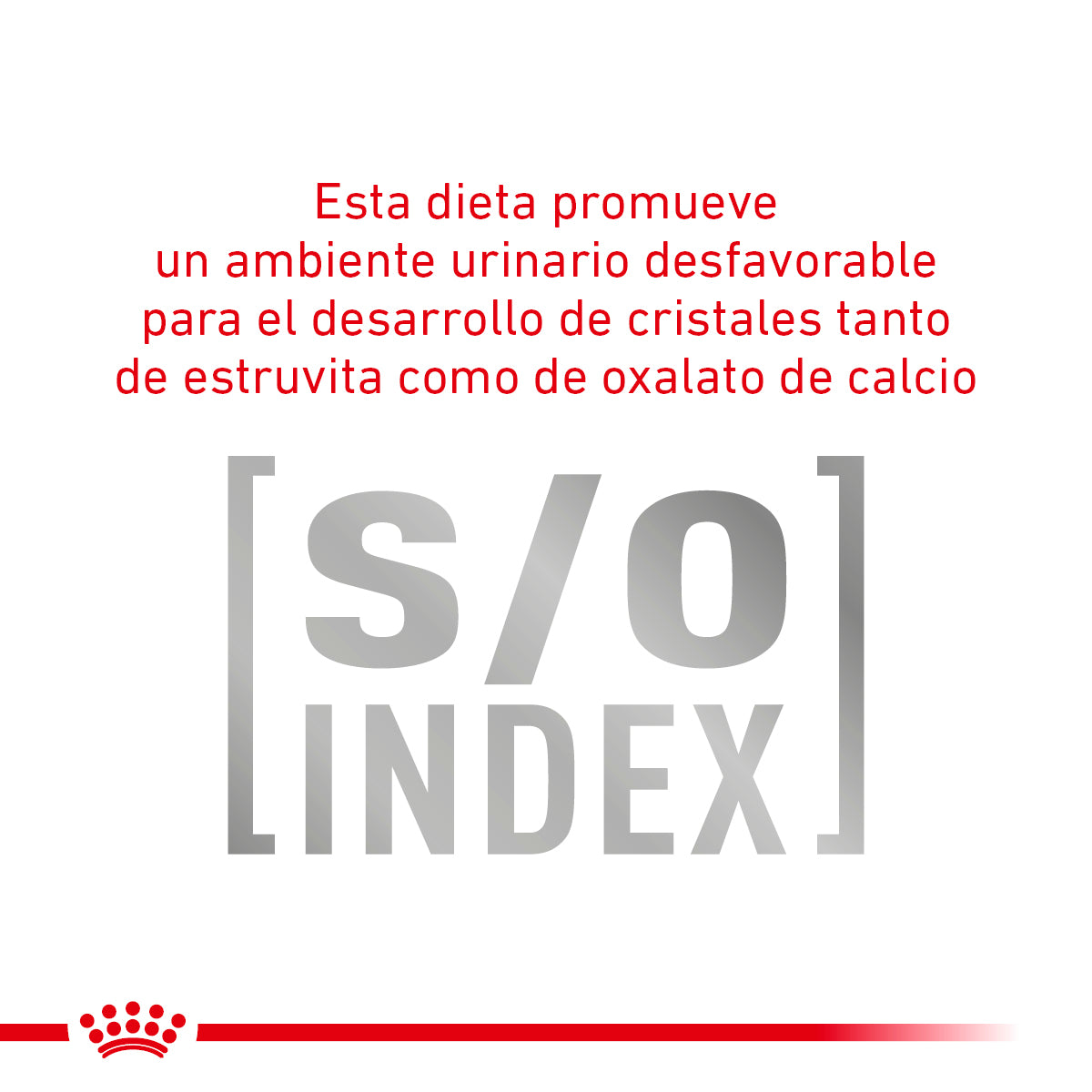 Glycobalance (diabetic) Feline Royal Canin 2 Kg.