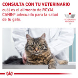 Glycobalance (diabetic) Feline Royal Canin 2 Kg.