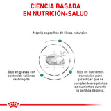 SATIETY SUPPORT FELINE