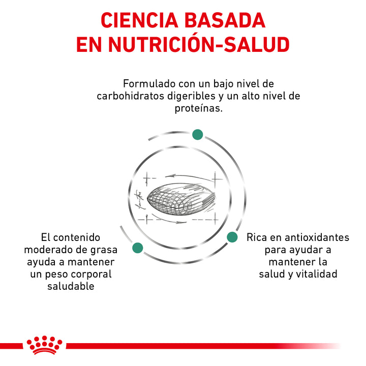 Glycobalance Canine Royal Canin