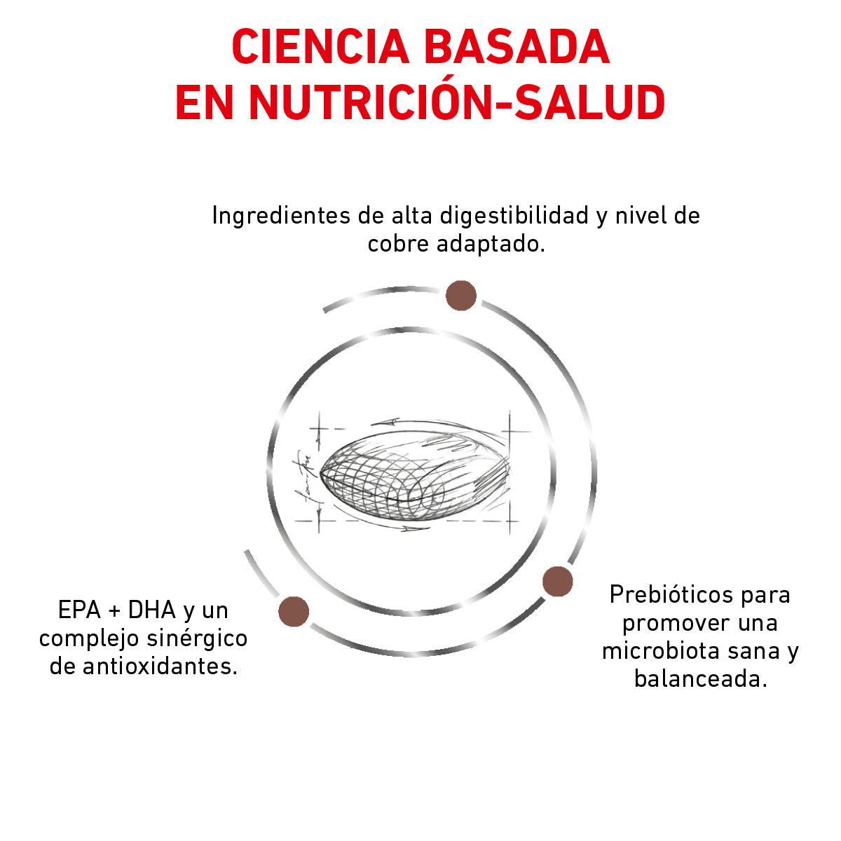 Royal Canin Hepatic