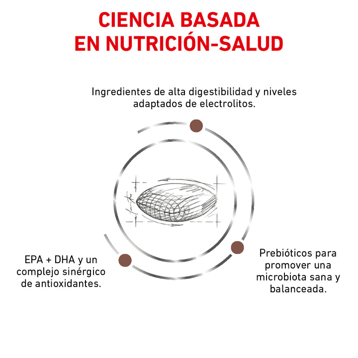Gastro Intestinal Low Fat Royal Canin