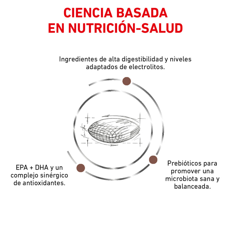 Gastro Intestinal Low Fat Royal Canin