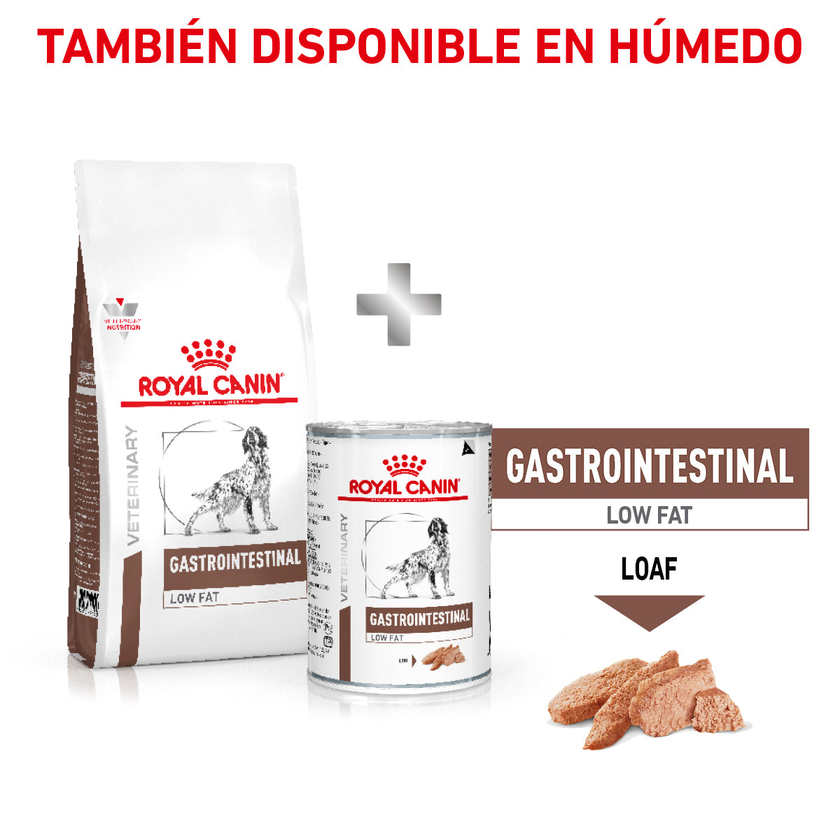 Gastro Intestinal Low Fat Royal Canin