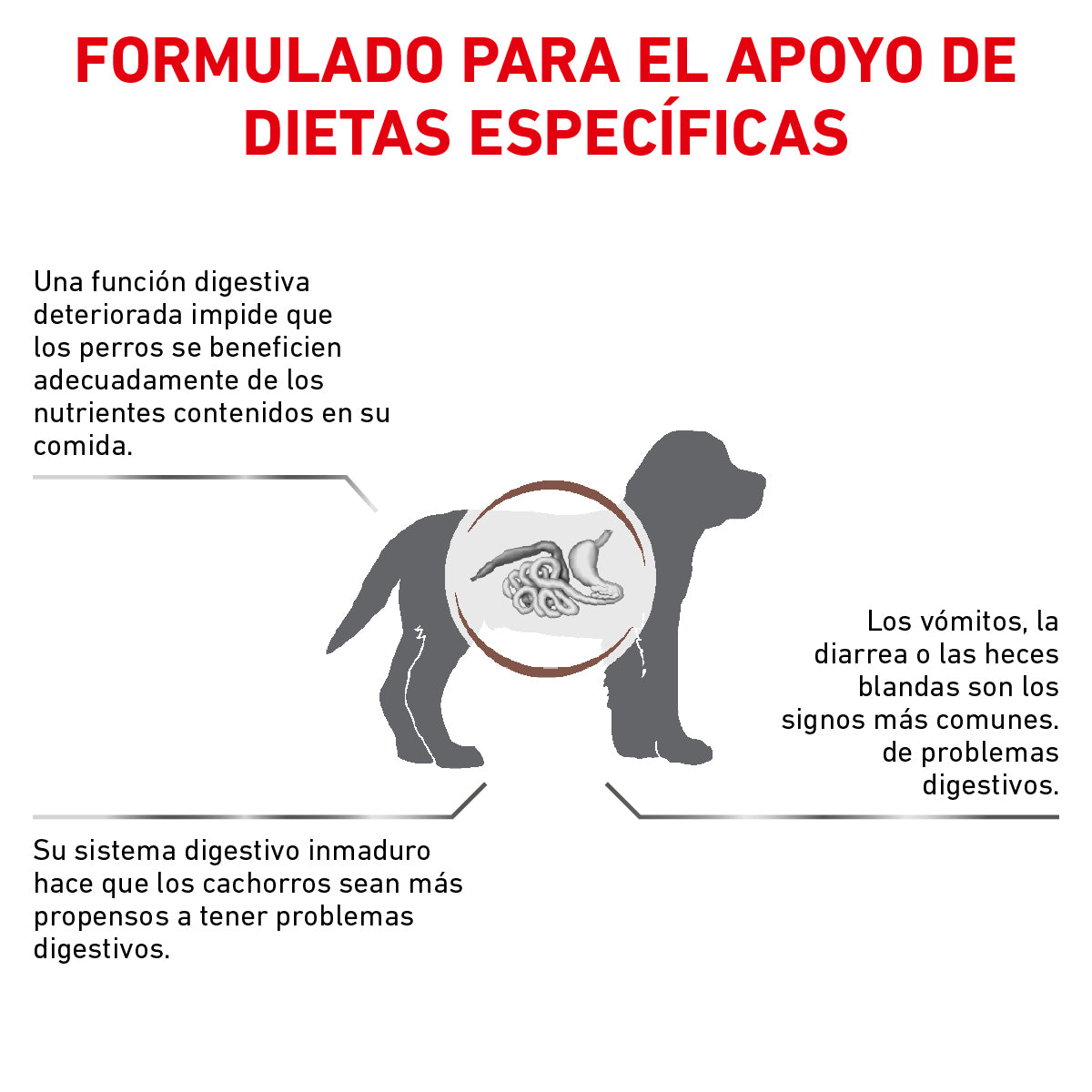 Gastro Intestinal Puppy Royal Canin 4 Kg.