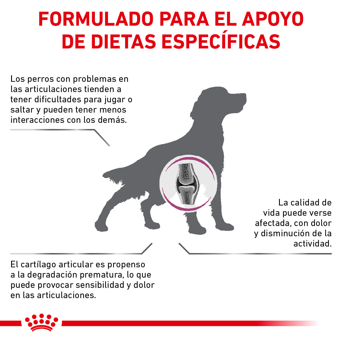 Royal Canin Advanced Mobility Support