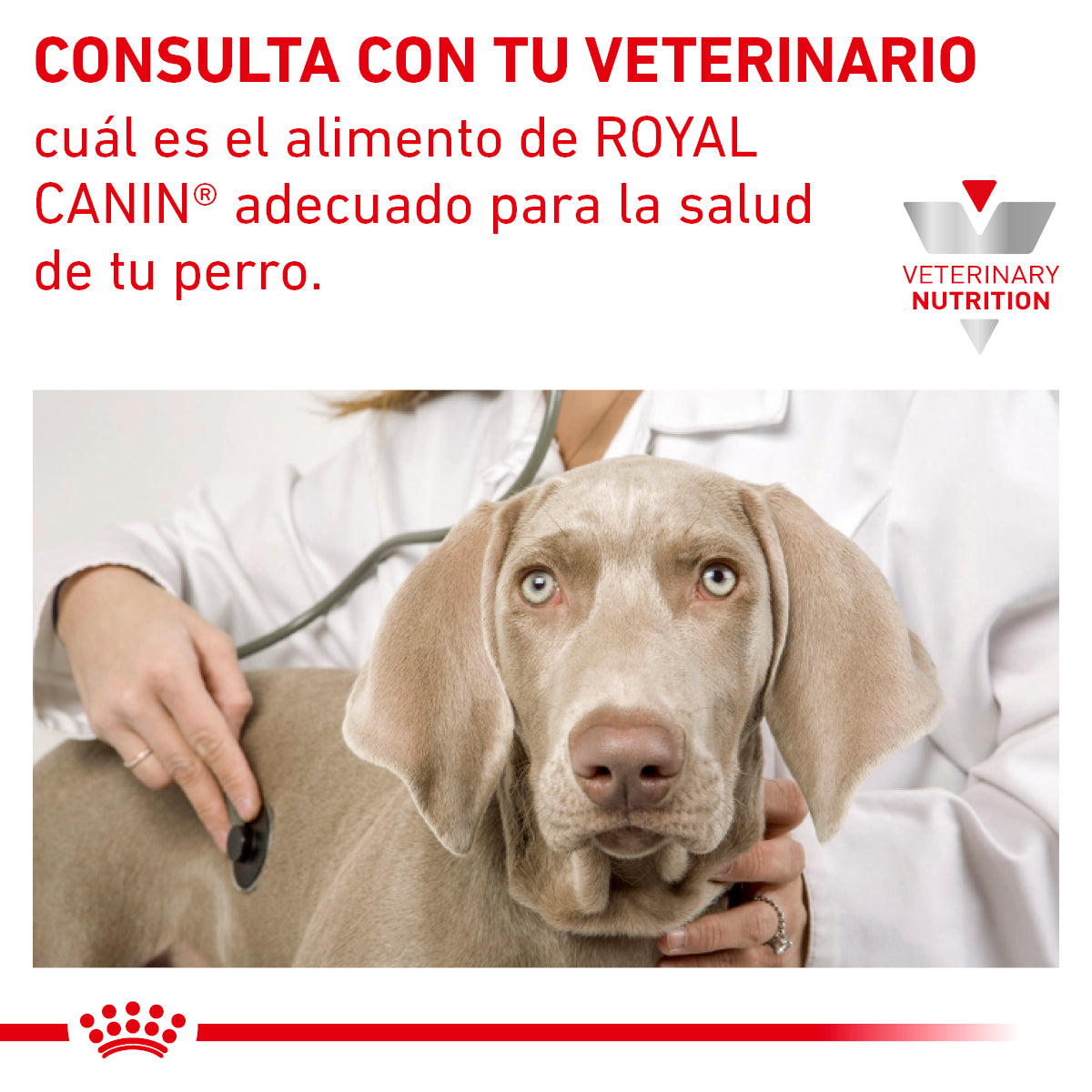 Royal Canin Advanced Mobility Support