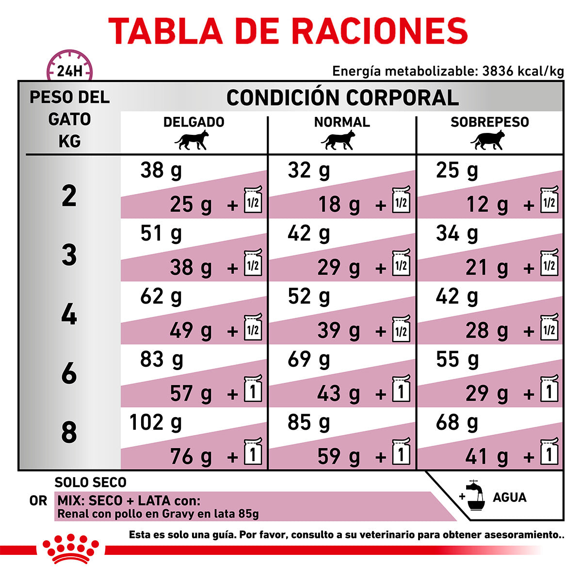 Renal Support Dry Cat