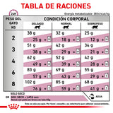 Renal Support Dry Cat