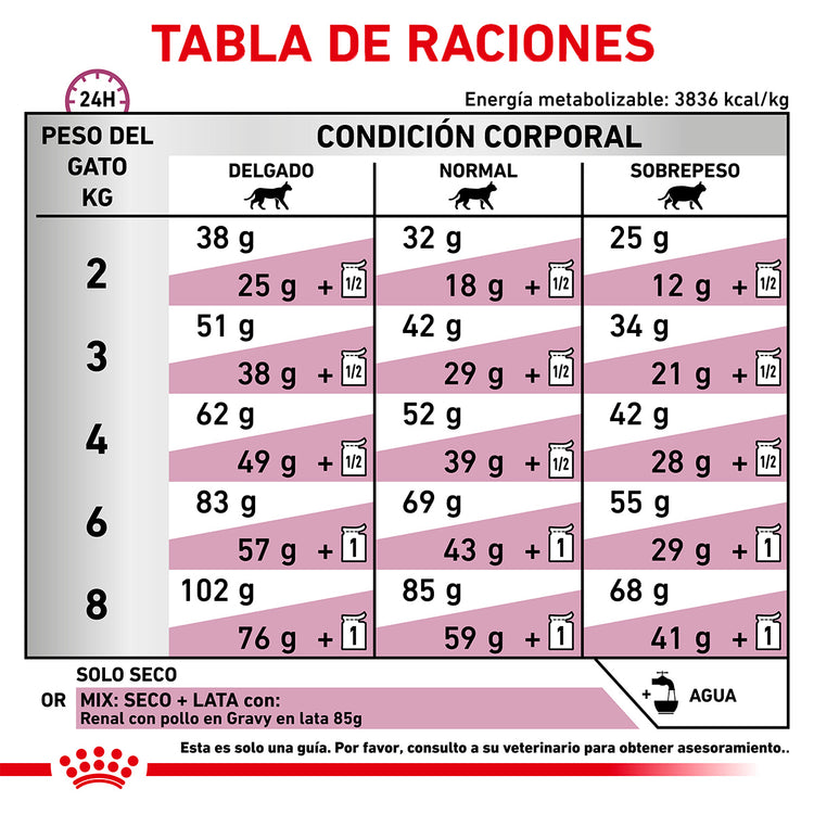 Renal Support Dry Cat