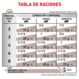 Lata Gastro intestinal High Energy Feline 145gr