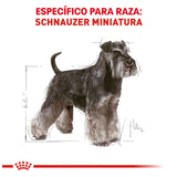 Mini Schnauzer 25 4.5 Kg. Profesional
