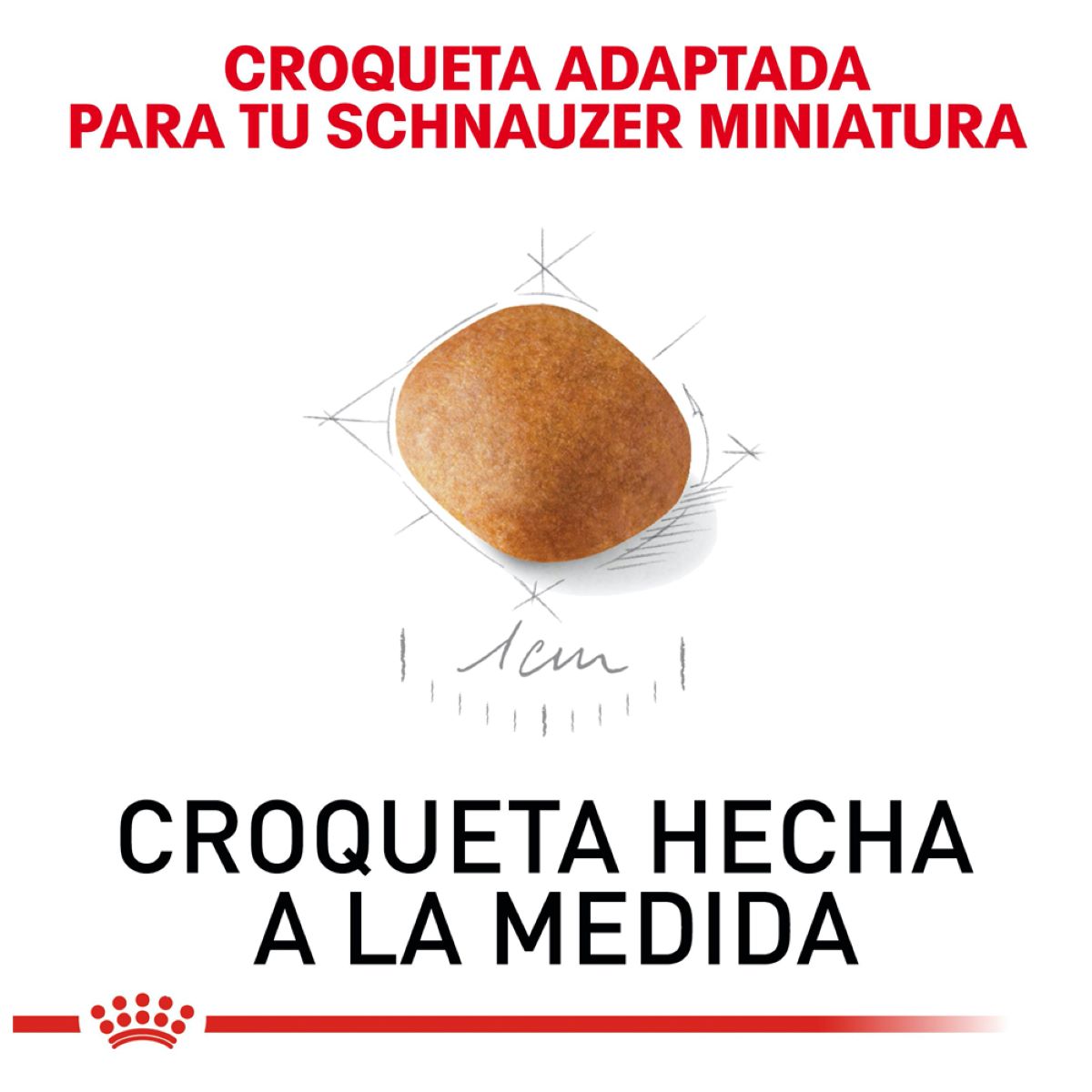 Schnauzer Puppy 1.1 Kg. Profesional