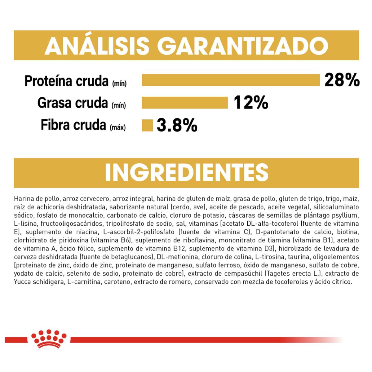 Schnauzer Puppy 1.1 Kg.