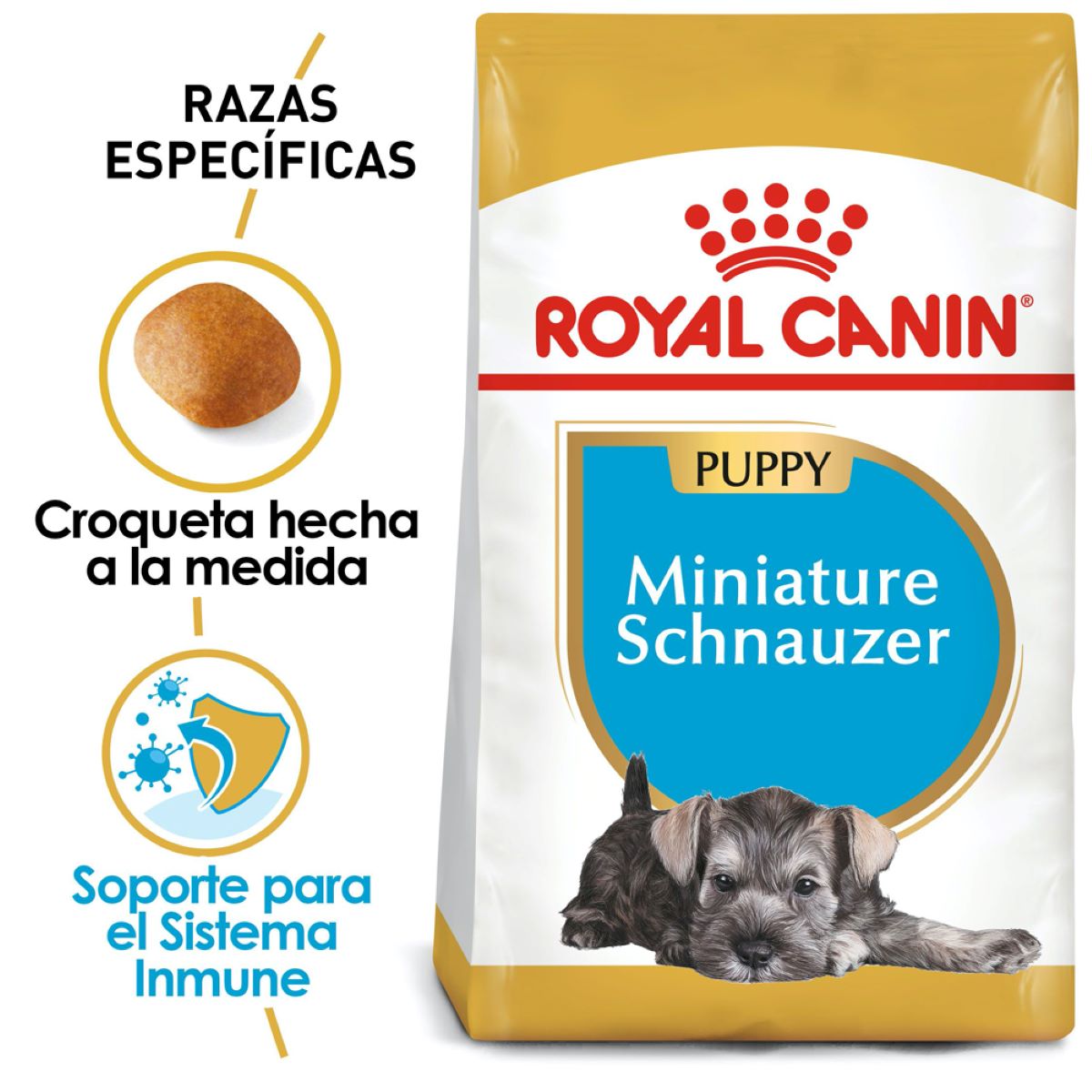 Schnauzer Puppy 1.1 Kg. Profesional