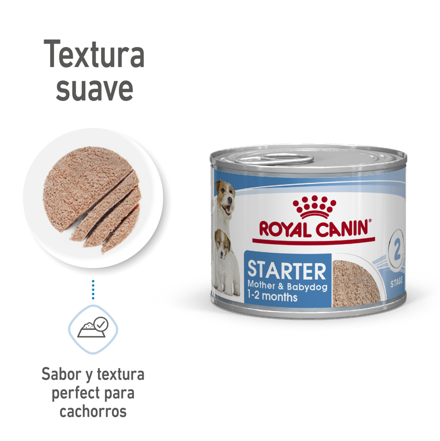 LATA STARTER ROYAL CANIN 145 gr.