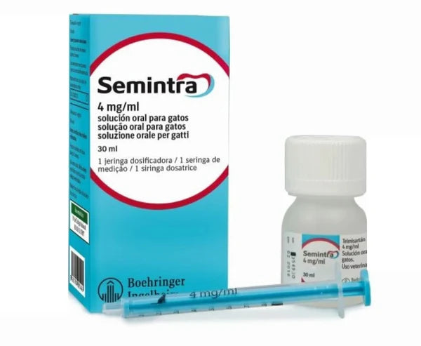SEMINTRA SOLUCIÓN ORAL 30 ML GATO