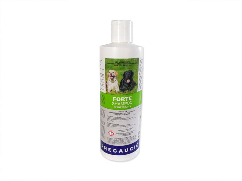 FORTE SHAMPOO 240 ML