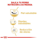 Shih Tzu 4.5 Kg. Profesional