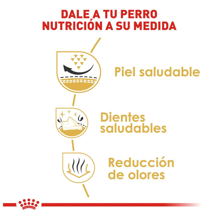 Shih Tzu 4.5 Kg. Profesional