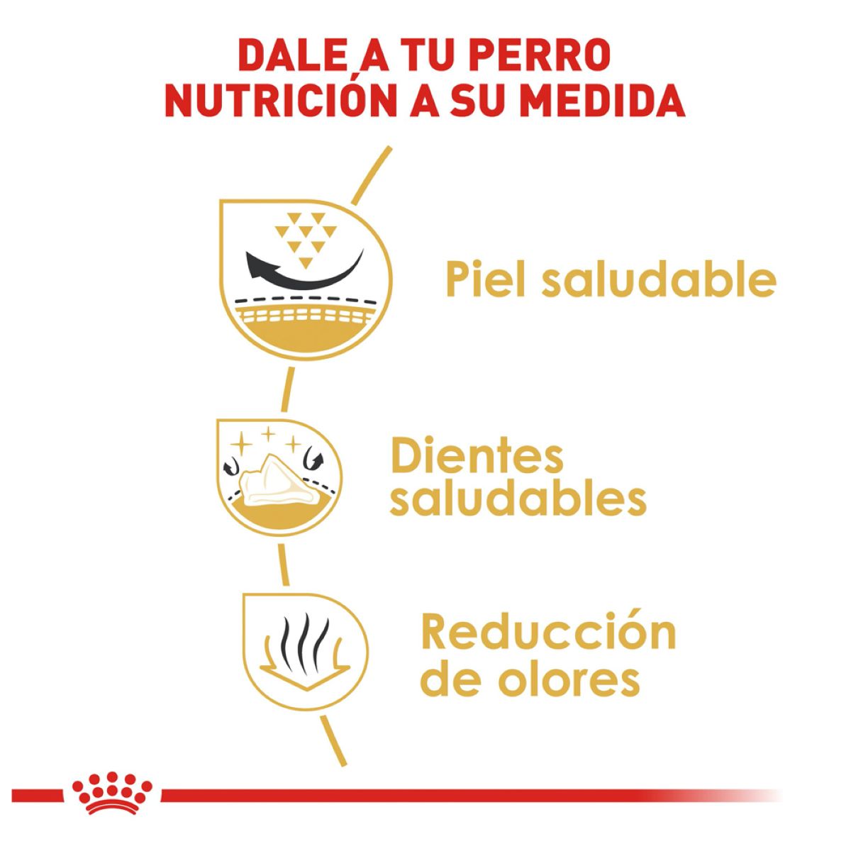 SHIH TZU 1.13 kg Profesional