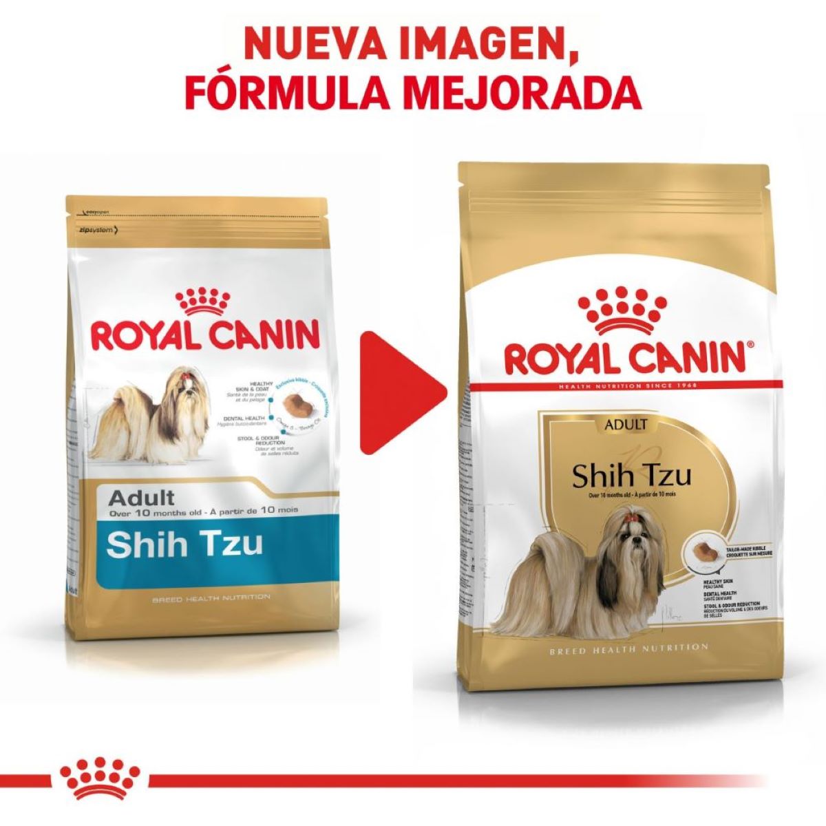 SHIH TZU 1.13 kg