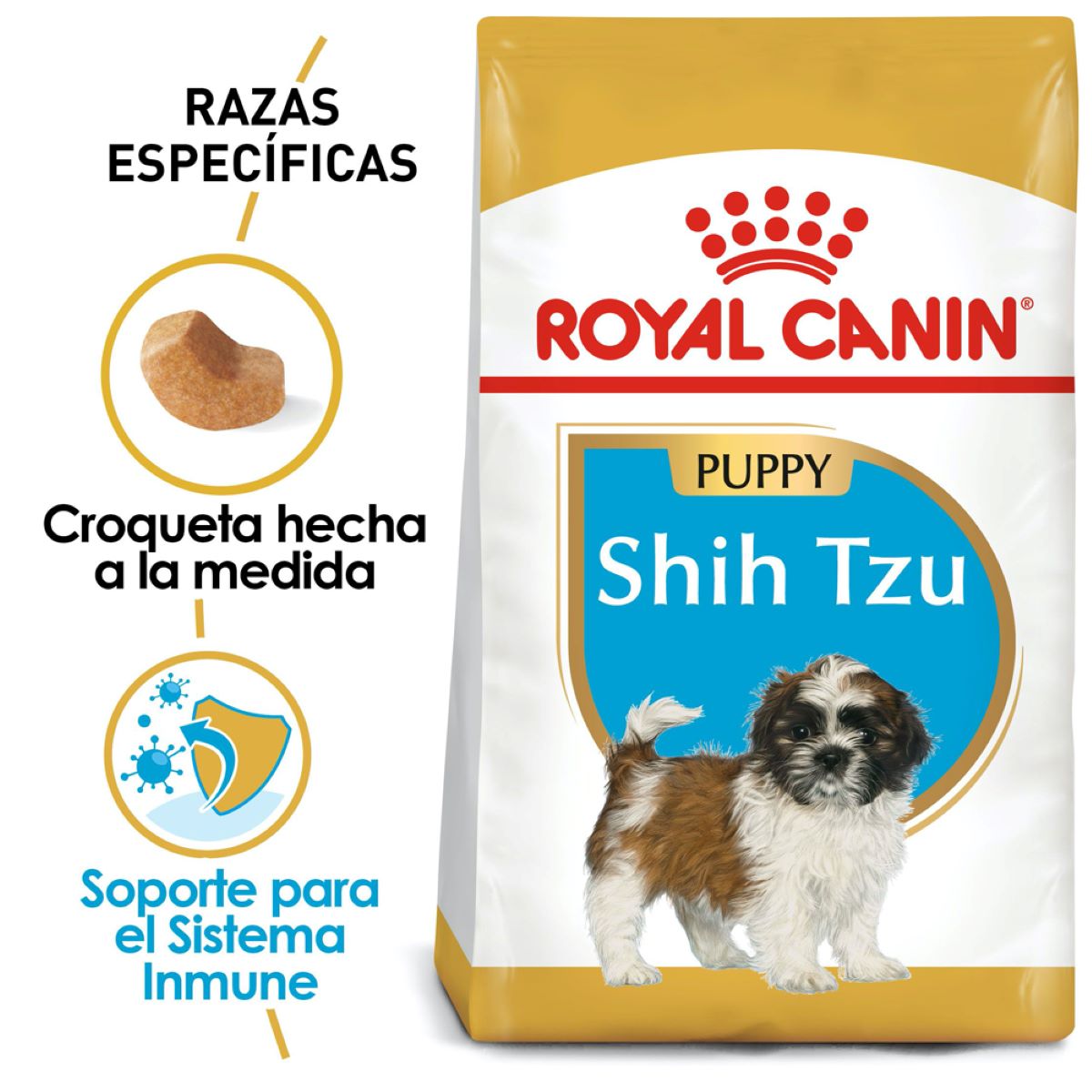 Shih Tzu Puppy 1.1 Kg.
