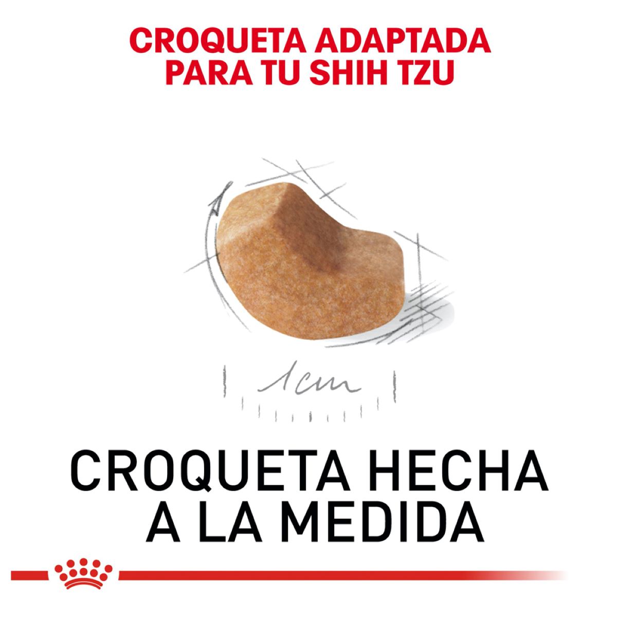 Shih Tzu Puppy 1.1 Kg. Profesional