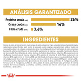 Shih Tzu Puppy 1.1 Kg.