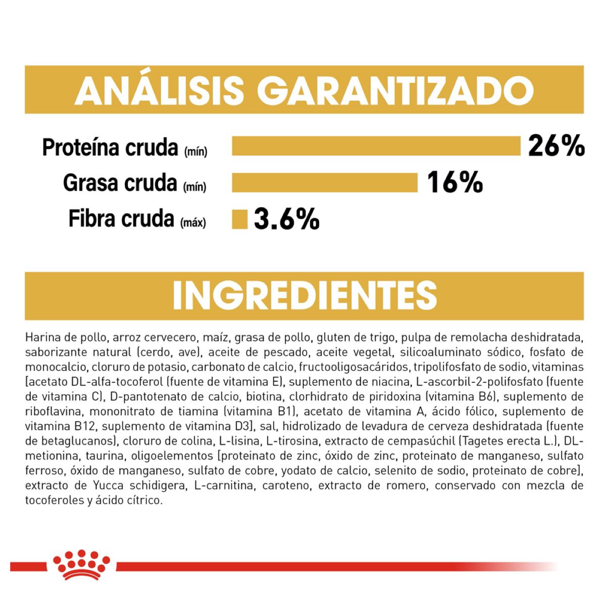 Shih Tzu Puppy 1.1 Kg. Profesional
