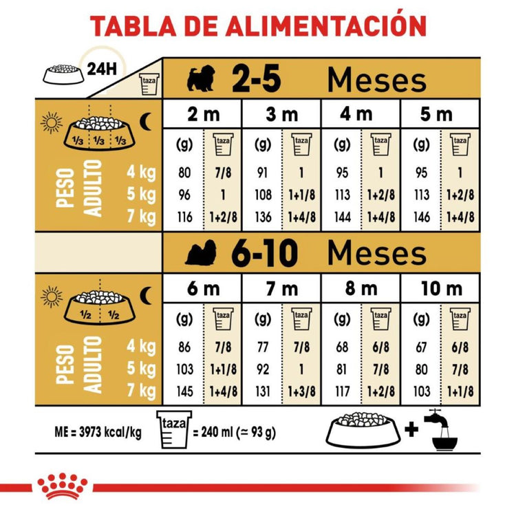 Shih Tzu Puppy 1.1 Kg. Profesional