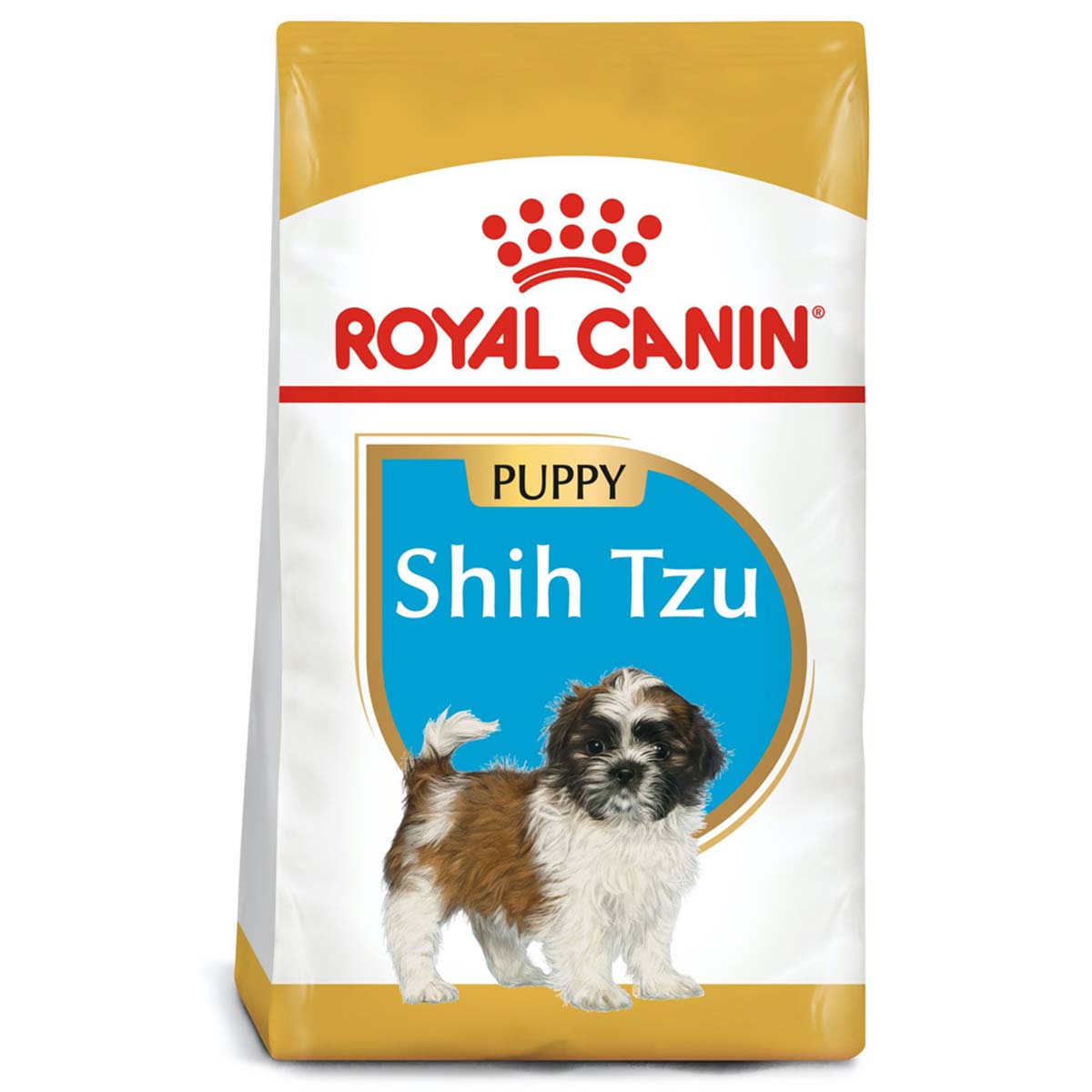 Shih Tzu Puppy 1.1 Kg. Profesional