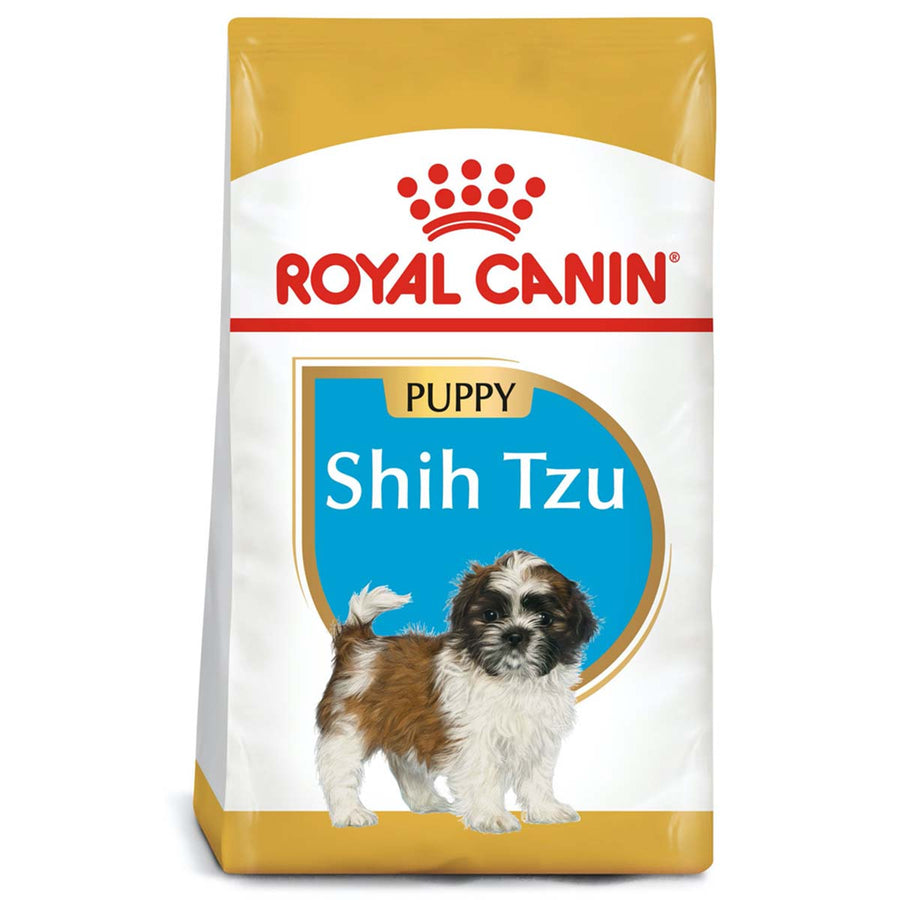 Shih Tzu Puppy 1.1 Kg. Profesional