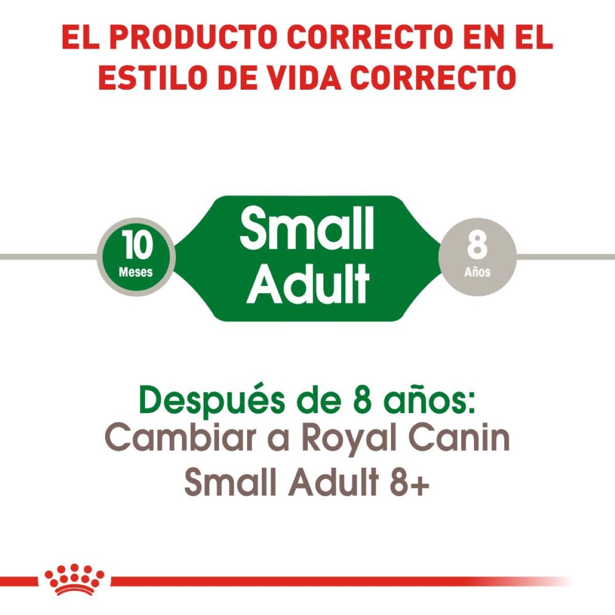 Mini Adult Royal Canin Profesional