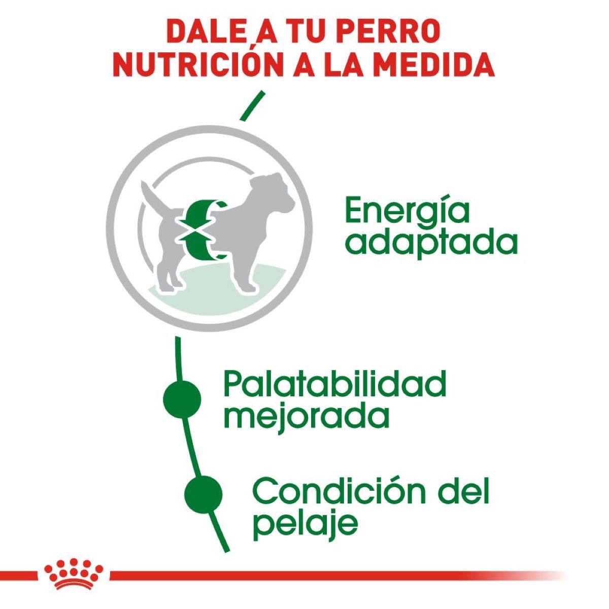 Mini Adult Royal Canin