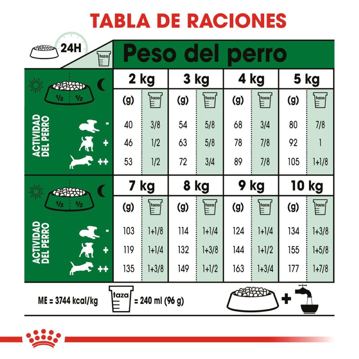 Mini Adult Royal Canin
