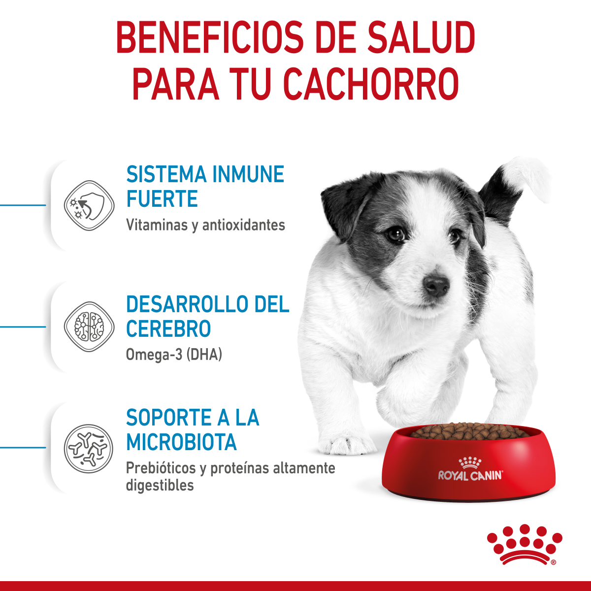 Small Puppy Petit Royal Canin