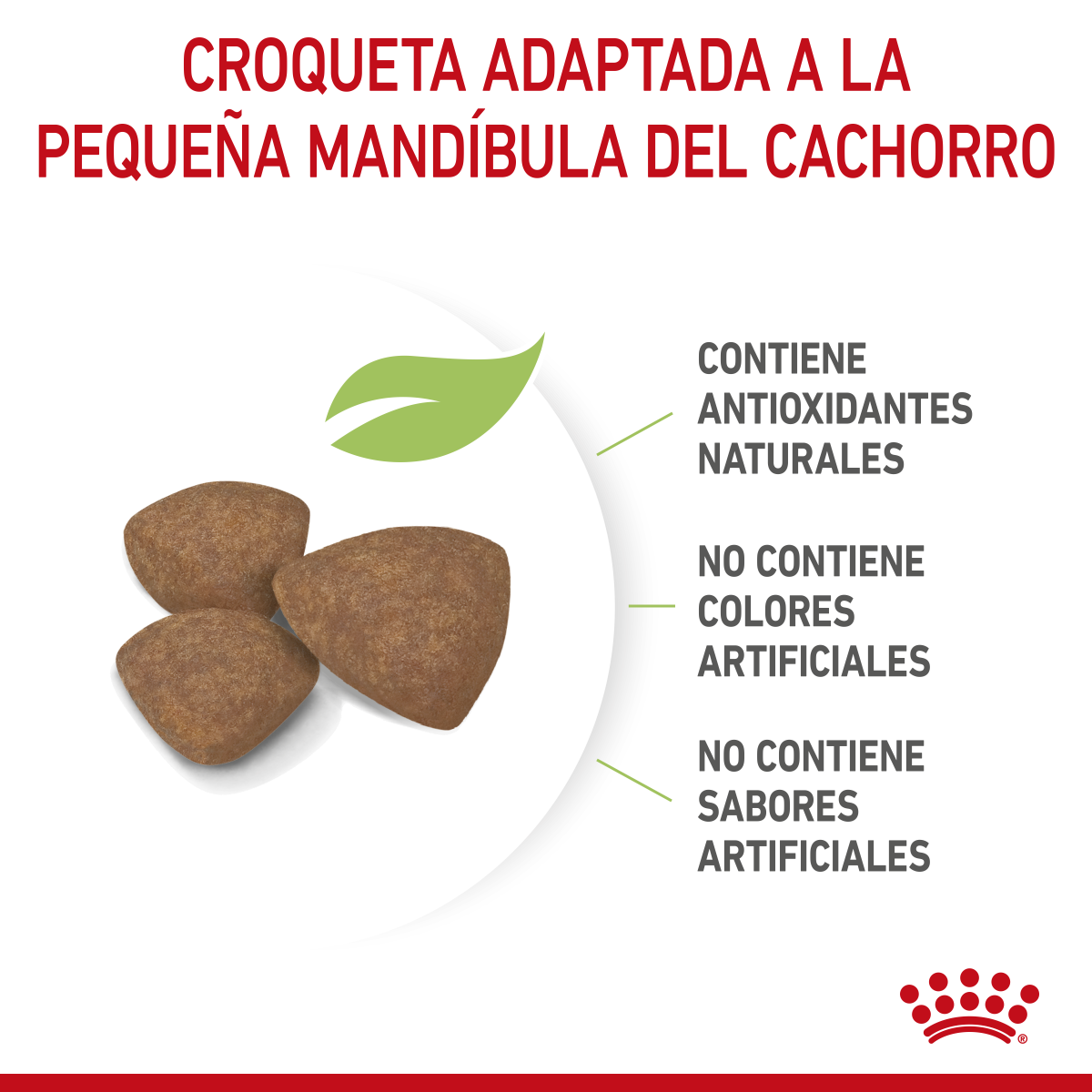 Small Puppy Petit Royal Canin Profesional